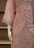 Mannequin wearing a pink embroidered outfit with a neutral background